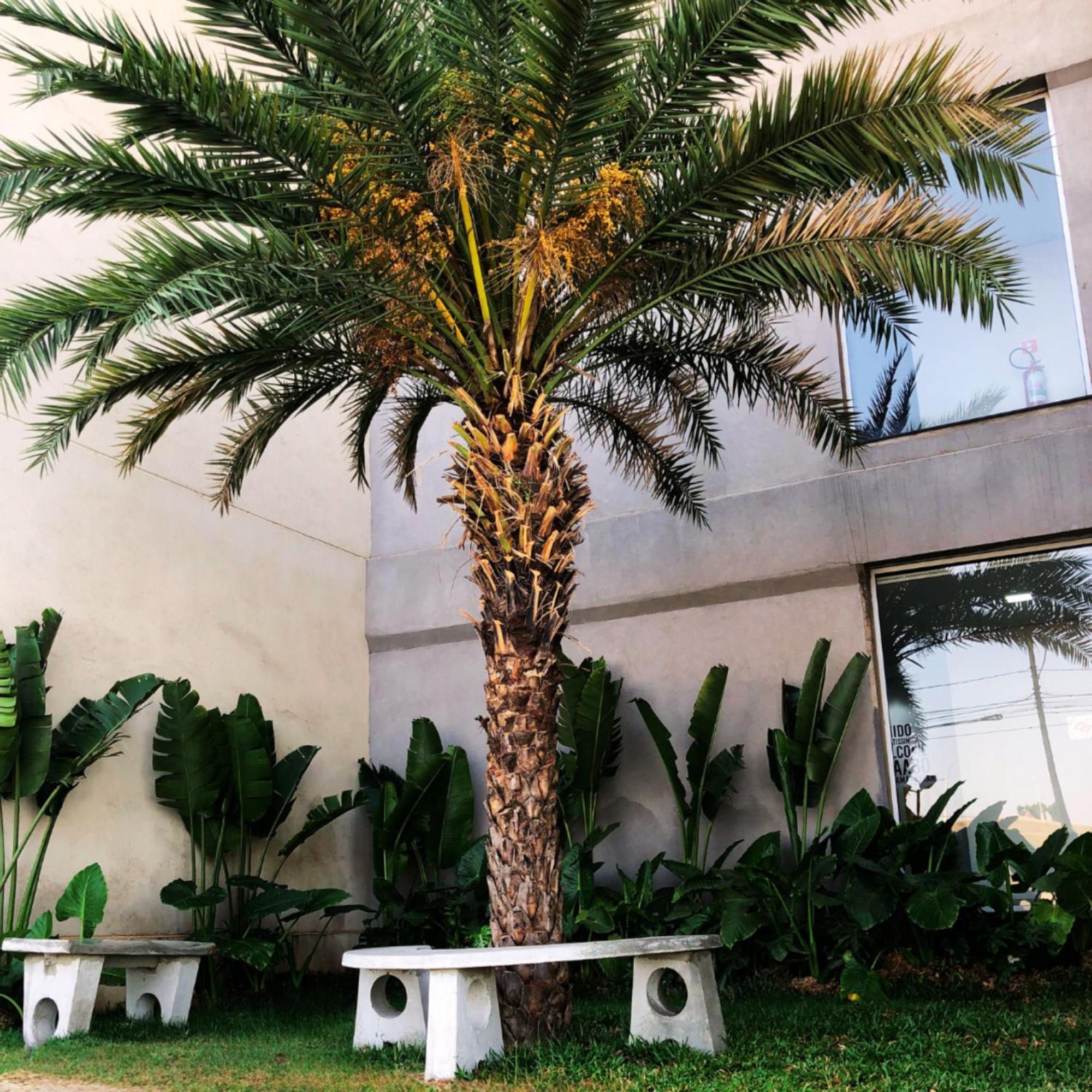 Sleep Inn Paulínia المظهر الخارجي الصورة